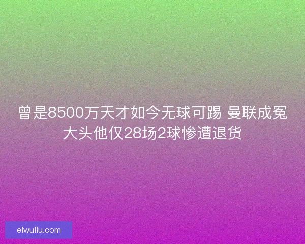 曾是8500万天才如今无球可踢 曼联成冤大头他仅28场2球惨遭退货