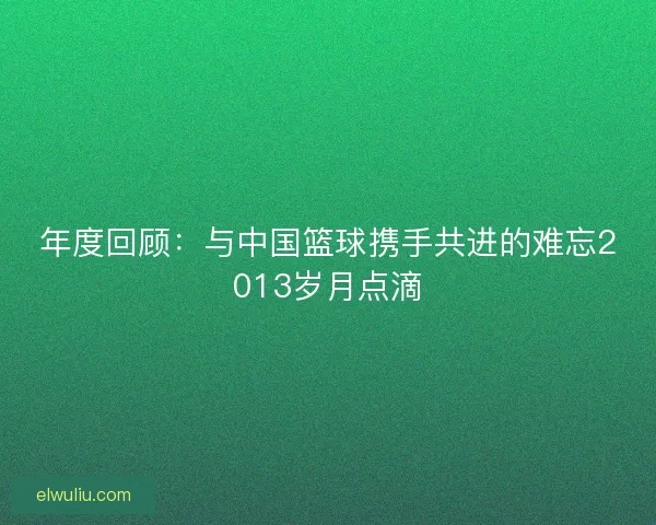 年度回顾：与中国篮球携手共进的难忘2013岁月点滴